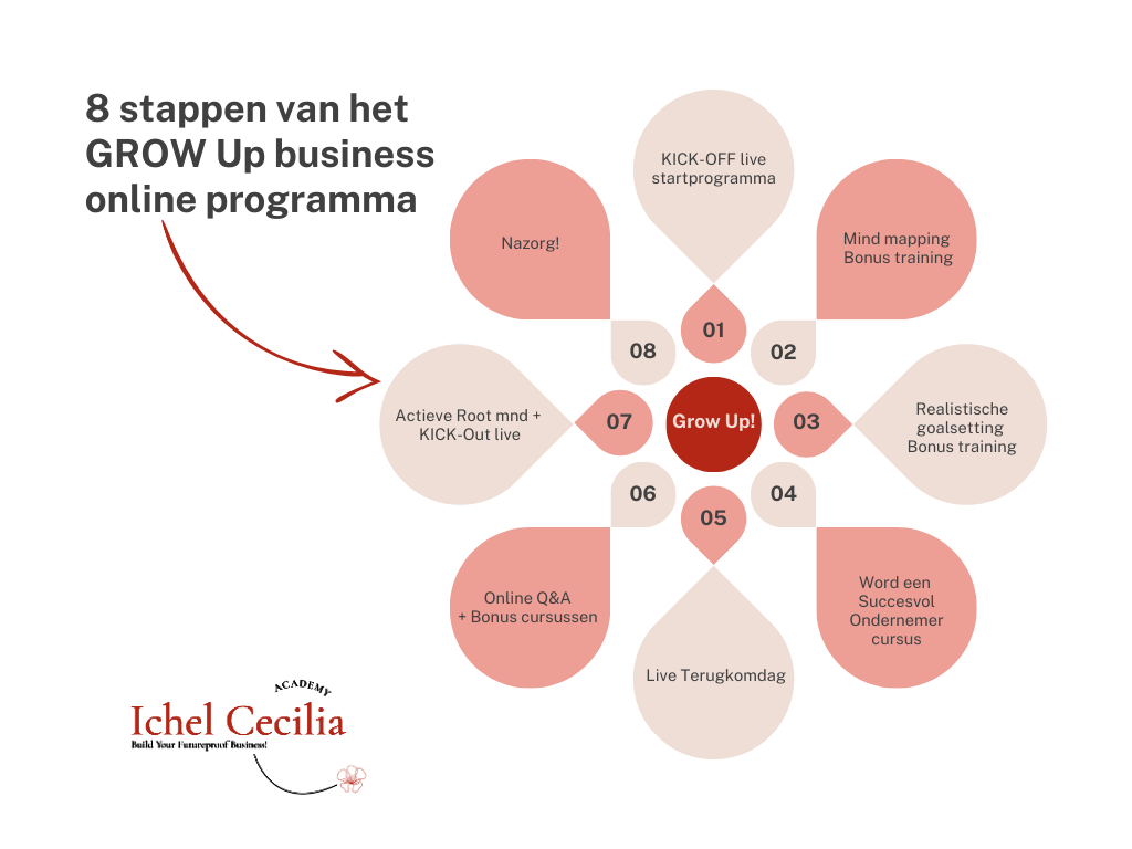 Overzicht_stappen_Grow_Up_Business_zonder_backgr